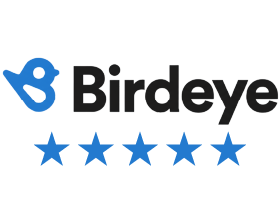 Birdeye