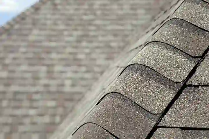 roof sringle